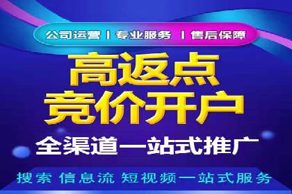 竞价推广成功案例解析
